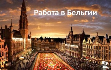 Чи варто здійснювати трудову імміграцію до Бельгії: затребувані професії, оклад та особливості проживання